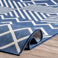 Blue Cassie Global Outdoor Area Rug, 8X10