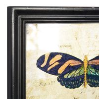 Literary Butterflies Framed Art Prints, Set of 2