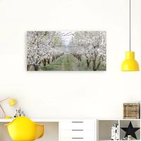 Countryside Path Canvas Art Print