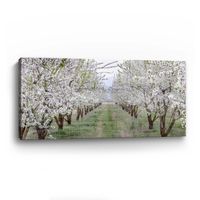 Countryside Path Canvas Art Print