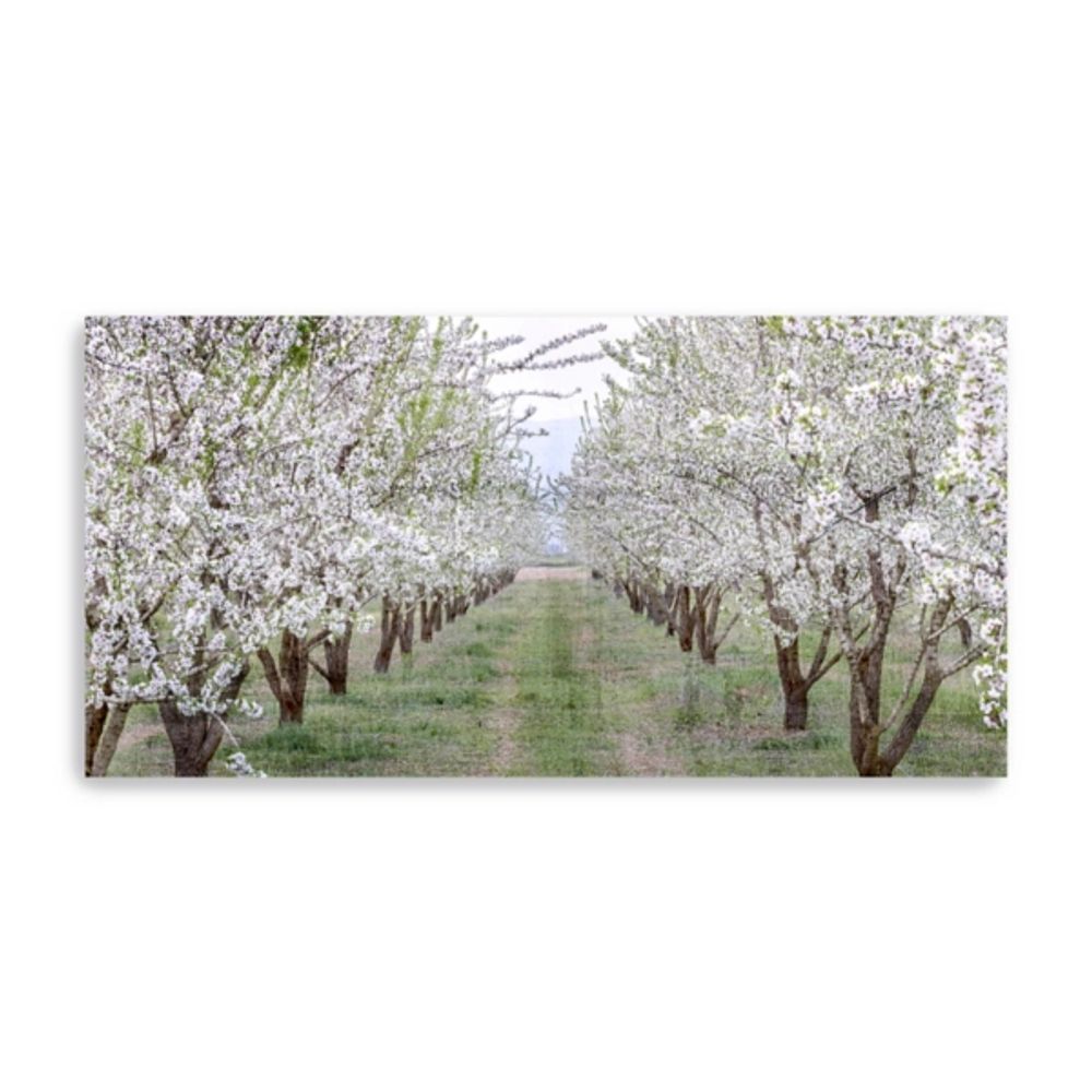 Countryside Path Canvas Art Print