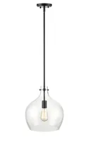 Black Glass Globe Pendant Light