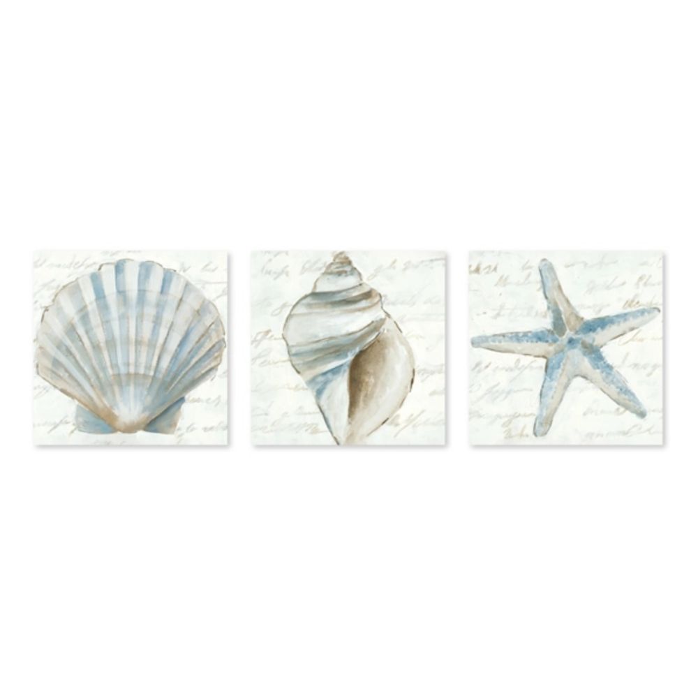 Ocean Treasures Canvas Art Prints, Set of 3