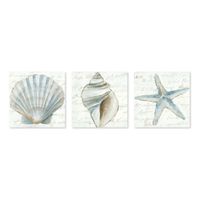 Ocean Treasures Canvas Art Prints, Set of 3