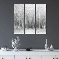 Perspective Part Canvas Art Prints, Set of 3