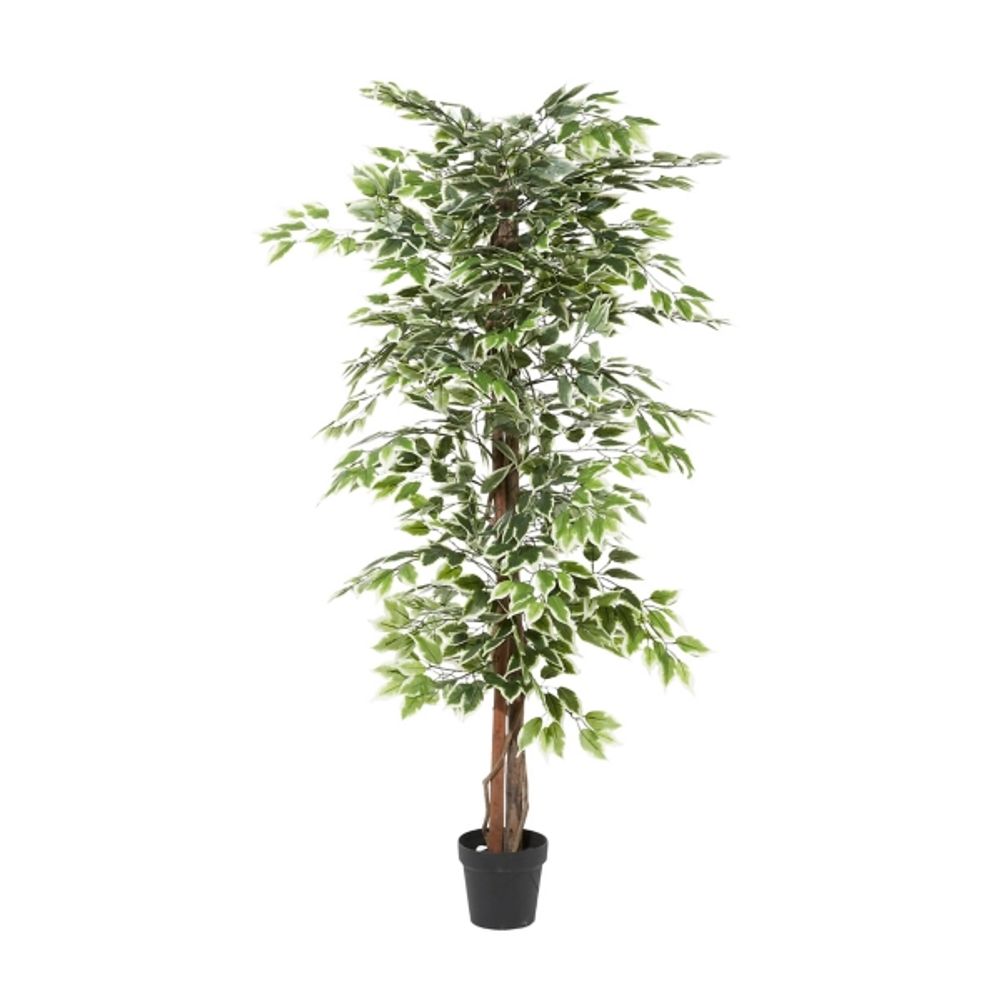 Nearly Natural 59 Variegated Ficus Artificial Tree in Decorative Planter