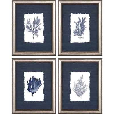 Coral 4-pc. Silver Framed Art Print Set