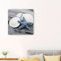 Driftwood Shell IV Canvas Art Print, 30x30 in.