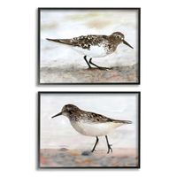 Sandpiper on Coast Framed 2pc Canvas Art Print Set