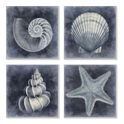 Nautical Seashells 4-pc. Canvas Art Print Set