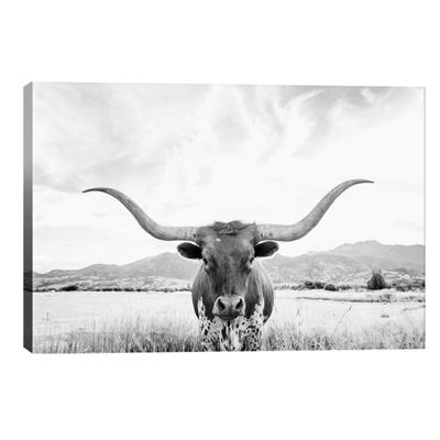 Longhorn Giclee Canvas Art Print