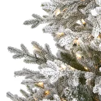 6 ft. Clear Lit Flocked Fraser Fir Christmas Tree