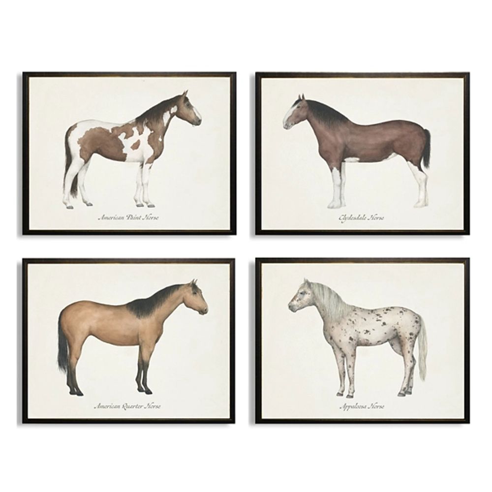Horses Framed Art Prints, Set of 4