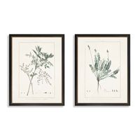 Greenery I Framed Art Prints, Set of 2