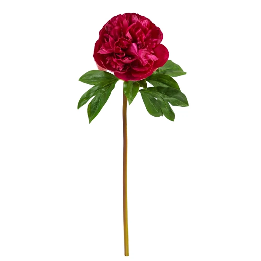 Fuschia Peony Flower Stems, Set of 3