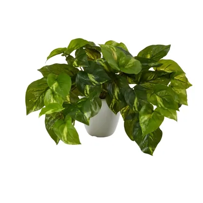 Real Touch Variegated Pothos in White Planter
