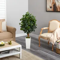 Ficus Tree in Mossy Tower Planter