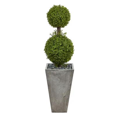 Double Ball Boxwood Topiary in River Rock Planter