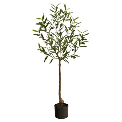 Italian Olive Tree in Black Nursery Planter, 4 ft.