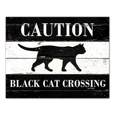 Caution Black Cat Crossing Halloween Canvas Print