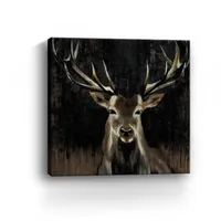 Young Buck Giclee Canvas Art Print, 40x40 in.