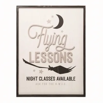 Flying Lessons Advertisement Wall Plaque