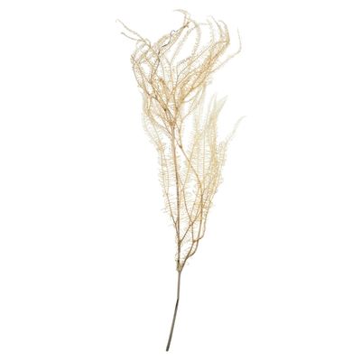 Natural Bleached Andares Fern Stems, Set of 9