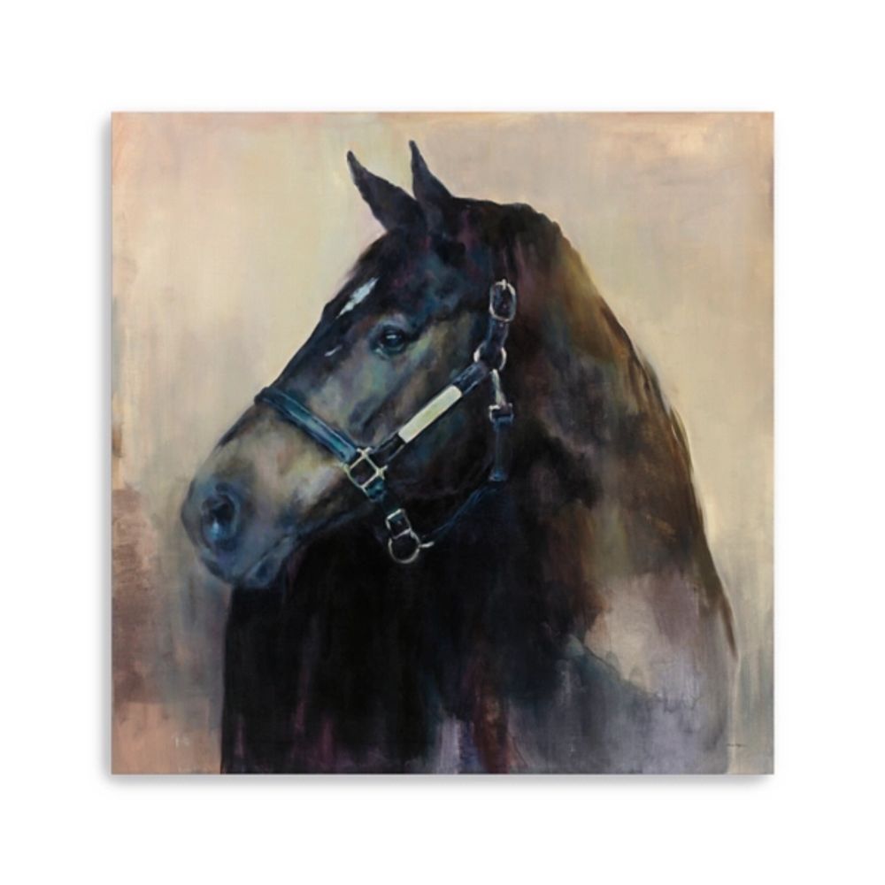 Ritzy Horse Canvas Art Print