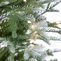 4 ft. Clear Lit Frosted Pine Trunk Christmas Tree