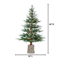 4 ft. Clear Lit Frosted Pine Trunk Christmas Tree