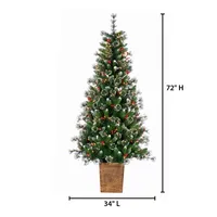 6 ft. Lit Glazier Pine Planter Christmas Tree