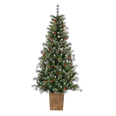 6 ft. Lit Glazier Pine Planter Christmas Tree