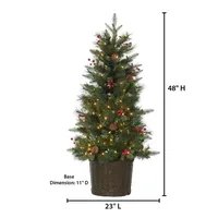 4 ft. Lit Riverton Pine Potted Christmas Tree