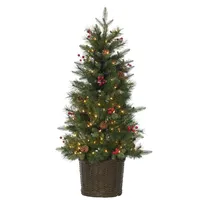 4 ft. Lit Riverton Pine Potted Christmas Tree