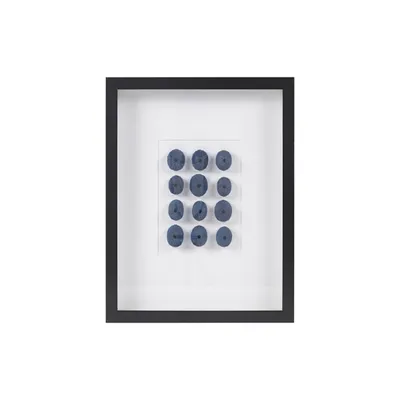 Indigo Sea Urchin Martha Stewart Shadowbox Plaque