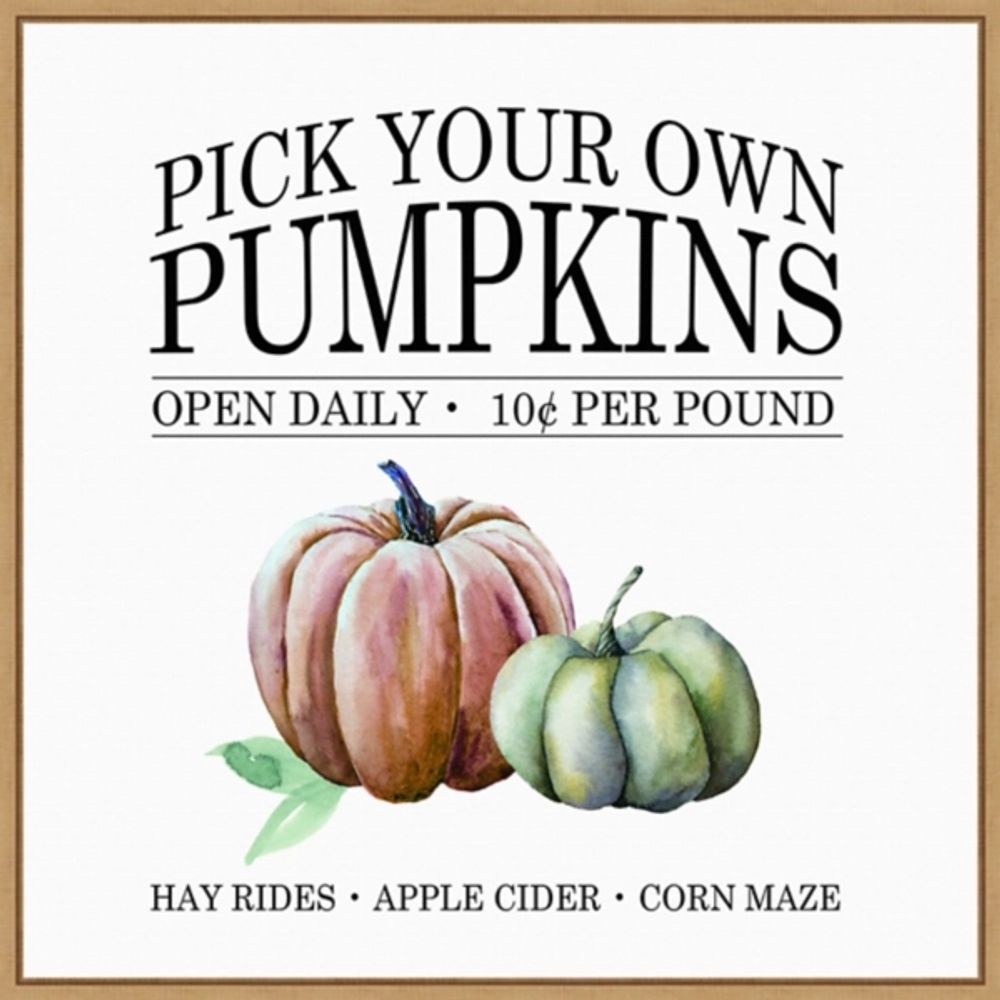 Watercolor Pick Your Own Pumpkins Framed Wall Art