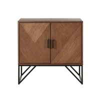 Brown Wood Frame Metal Base 2-Door Cabinet