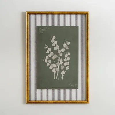 Botanical Stripes III Framed Art Print