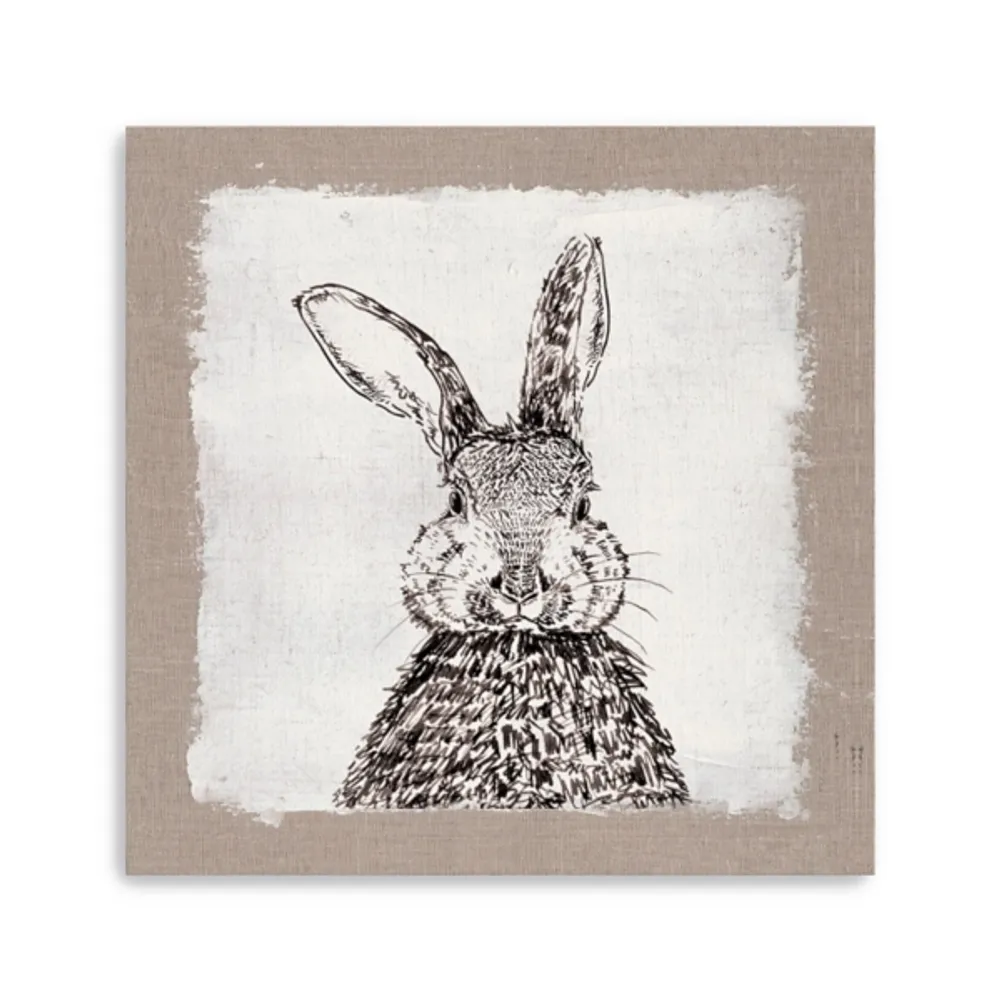 Burlap Bunny Drawing Canvas Art Print