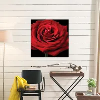 Red Rose II Giclee Canvas Art Print