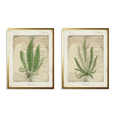Vintage Green Ferns Framed Art Prints, Set of 2