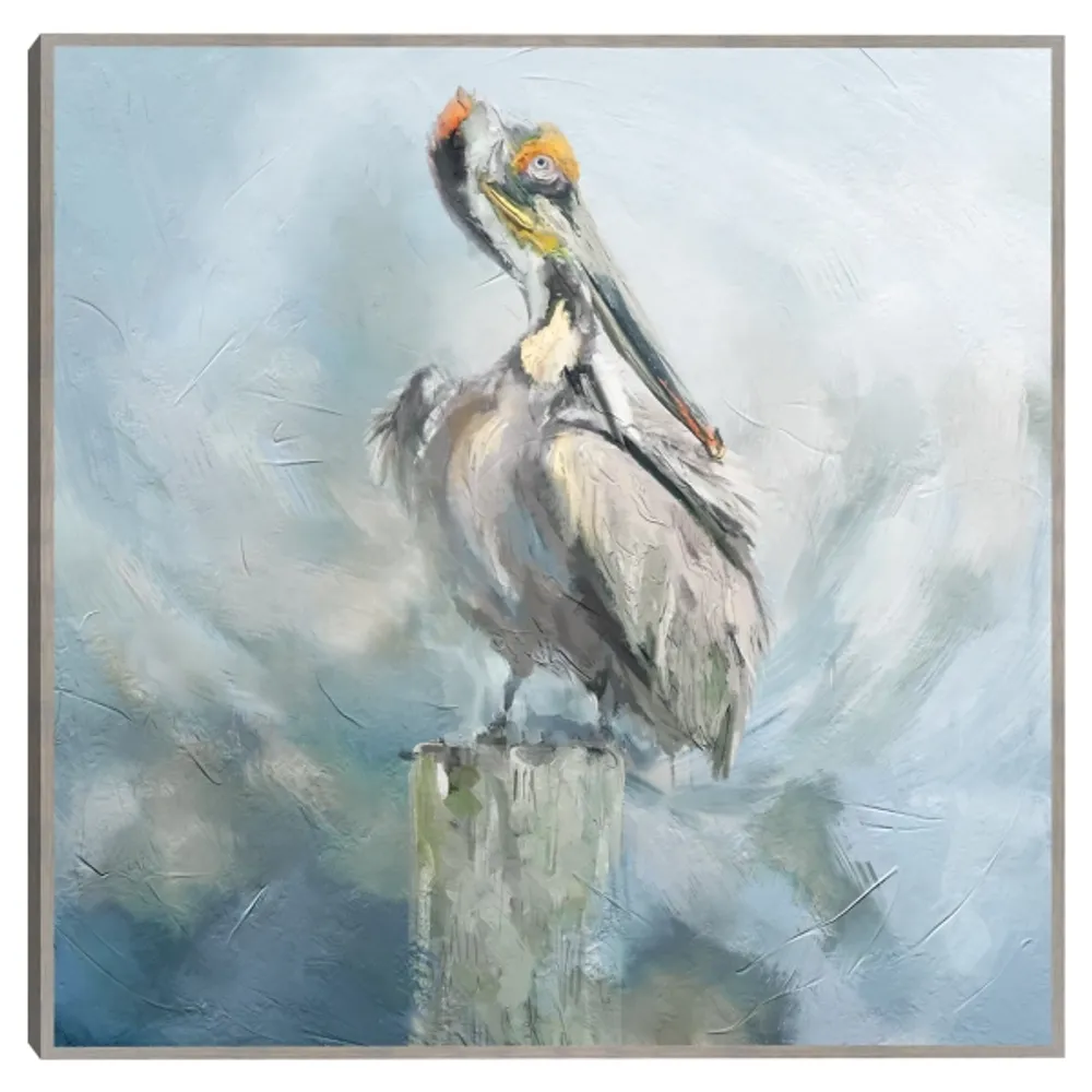 Perched In Paradise Framed Canvas Art Print