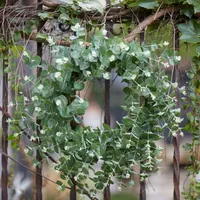 Australian Eucalpyptus Wreath