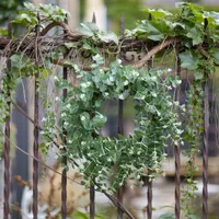 Australian Eucalpyptus Wreath