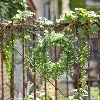 Australian Eucalpyptus Wreath