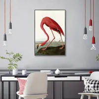 American Flamingo Framed Canvas Art Print