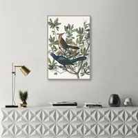 Boat Tailed Grackle Framed Canvas Art Print