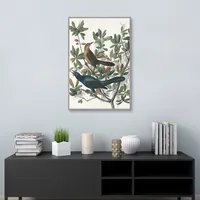 Boat Tailed Grackle Framed Canvas Art Print