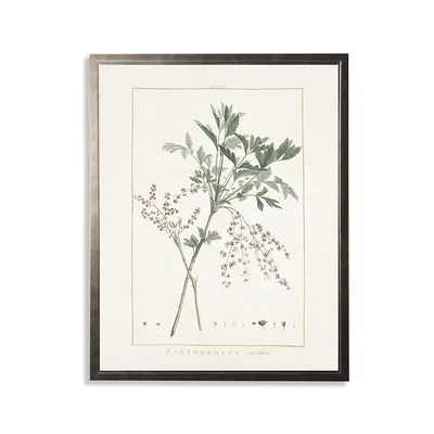 Greenery Botanical IV Pewter Framed Art Print