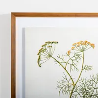 Golden Leaves Herbs Dill Framed Art Print